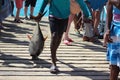 A yellow fin Tuna s dragged unceramoniuosly across the pier