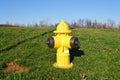 Yellow Fire Hydrant