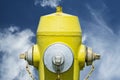 Yellow Fire Hydrant Royalty Free Stock Photo