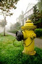 Yellow fire hydrant on a foggy street