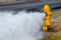 Yellow fire hydrant by four-lane street gushing water on a winter day