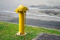 Yellow fire hydrant on the grass Royalty Free Stock Photo