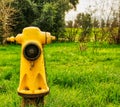 Yellow fire hydrant in grassy park Royalty Free Stock Photo