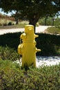 Yellow fire hydrant in a public park Royalty Free Stock Photo