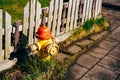 Yellow fire hydrant with red cap and silver lids. In the grass near a wooden fence. Royalty Free Stock Photo