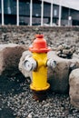 Yellow fire hydrant with red cap and silver lids. Royalty Free Stock Photo