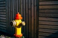 Yellow fire hydrant with red cap and silver lids, On a wooden background. Royalty Free Stock Photo
