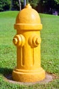 Yellow Fire Hydrant Reserve in the Park Royalty Free Stock Photo