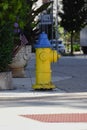Yellow fire hydrant on the roadside Royalty Free Stock Photo
