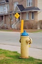 Yellow fire hydrant on the roadside. Ottawa, Canada. Royalty Free Stock Photo