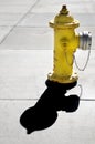 Yellow Fire Hydrant for Safety