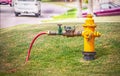 Yellow fire hydrant- water main with valve coupling with meter to attach small red hose for watering Royalty Free Stock Photo