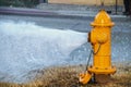 Yellow fire hydrant wide open gushing water onto the street with slightly grainy effect where water is falling back down over the Royalty Free Stock Photo