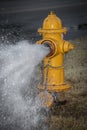 Yellow fire hydrant wide open with water gushing out near a road