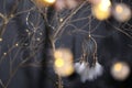 Yellow fires of a garland on trees. Dreamcatcher. dark background