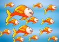 The yellow fish group Royalty Free Stock Photo
