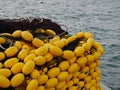 Yellow Fishing nets in Rovinj, Croatia Royalty Free Stock Photo