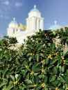 A yellow flag and a lemon tree sit in front of an Orthodox Church in Paros, Greece Royalty Free Stock Photo