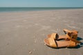 Yellow flip flop on the beach. Summer holidays concept. Sandals, sand, sea, blue sky with bright light of sunset in summer Royalty Free Stock Photo