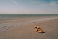 Yellow flip flop on the beach. Summer holidays concept. Sandals, sand, sea, blue sky with bright light of sunset in summer Royalty Free Stock Photo