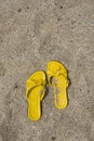 Yellow Flip-Flops