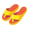 yellow flip flops