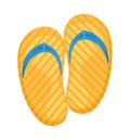 yellow flip flops