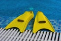 Yellow flippers on coast of sw Royalty Free Stock Photo