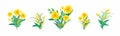 Yellow floral compositions. Blooming spring flowers, green leaves and hearts for greeting Royalty Free Stock Photo