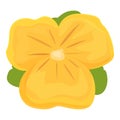 Yellow floret icon cartoon vector. Pansy flower