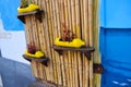 Yellow flower beds made of plastic bottles