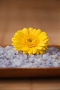 Yellow Flower on Blue Bath Salt Royalty Free Stock Photo