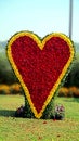 Flower Heart shape