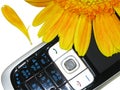 Yellow flower and cell phone (clippining path) Royalty Free Stock Photo