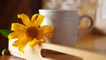 Yellow flower with cup of coffee or tea on the tray on the table. Morning coffee with fresh sunflower. Still life concept.