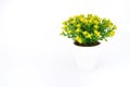 Yellow flower decoration Royalty Free Stock Photo