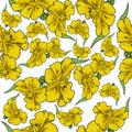 Yellow flower  with green leaf seamless pattern, colorful art on a white background, vector illustration Royalty Free Stock Photo