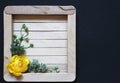 Yellow flower with green leaves on a wooden background. Wooden square on a black background. Royalty Free Stock Photo