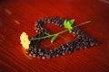 flower on a heart shaped cofee beans Royalty Free Stock Photo