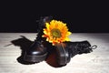 Yellow flower on leather black boots on a wooden surface Royalty Free Stock Photo