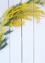 Yellow flower mimosa on white wooden table Royalty Free Stock Photo