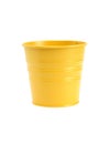 Yellow Flower Pot Royalty Free Stock Photo