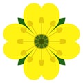 Yellow flower potentilla tormentilla logo Royalty Free Stock Photo