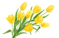 Yellow flower. Realistic 3d bouquet of top easter tulip. Beautiful floral romantic spring object. decorative Vector Royalty Free Stock Photo