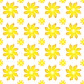 Yellow Flower Seamless Pattern Royalty Free Stock Photo