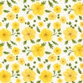 Yellow flower seamless pattern. Summer daisy and buttercup repeat background. Cottagecore print Royalty Free Stock Photo