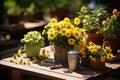 Yellow flower seedlings and garden items on a wooden table