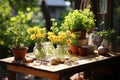 Yellow flower seedlings and garden items on a wooden table