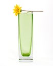 Yellow flower in a simple green glass vase, with c Royalty Free Stock Photo