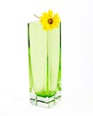 Yellow flower in a simple green glass vase, with c Royalty Free Stock Photo